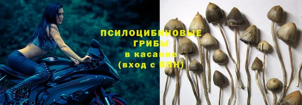 spice Арсеньев